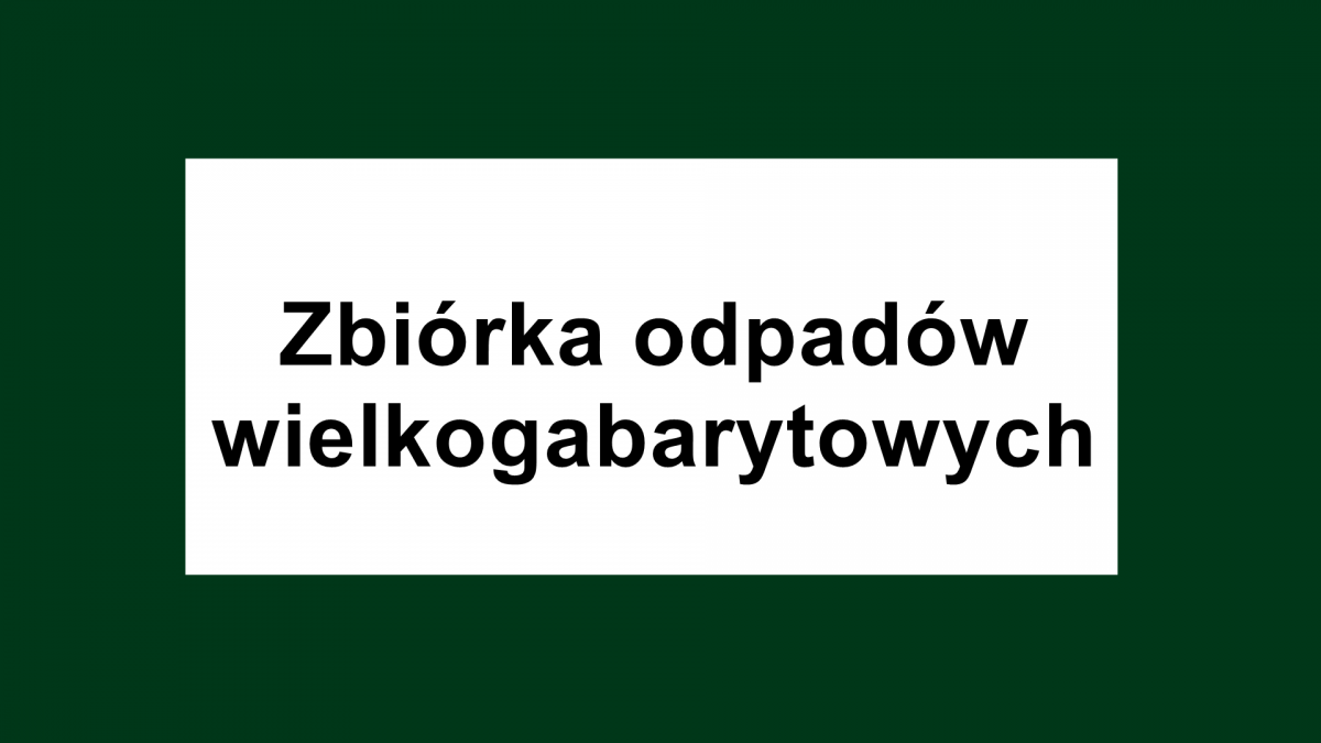 Miniaturka artykułu Zbiórka odpadów wielkogabarytowych – Drewnik, Jeziorzany i Przytoczno – 19  marca br.