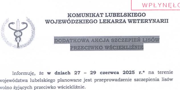 Miniaturka artykułu Akcja szczepienia lisów na terenie woj. lubelskiego