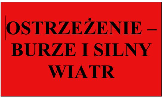 Miniaturka artykułu OSTRZEŻENIE – BURZE I PORYWISTY WIATR