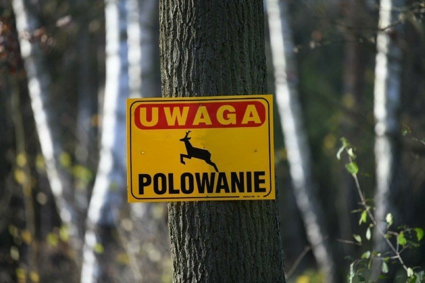 Miniaturka artykułu UWAGA! POLOWANIA!