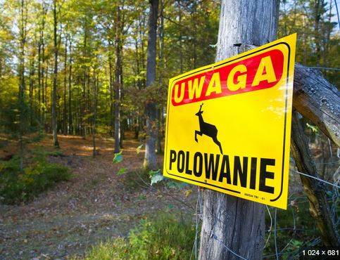 Miniaturka artykułu UWAGA! POLOWANIA!