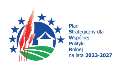 Miniaturka artykułu Budowa placu zabaw w Przytocznie
